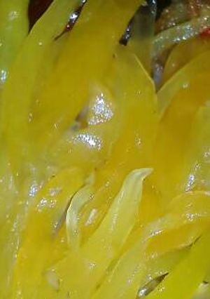 Foto resep Tumis pepaya