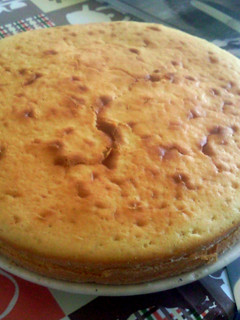 A picture of Ricotta Cheese Cake.