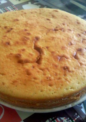 A picture of Ricotta Cheese Cake.