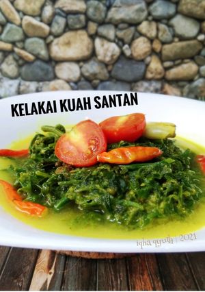 Foto resep Kelakai (Sayur Pakis) kuah Santan