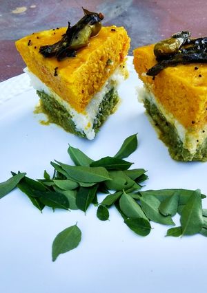 A picture of Tricolor rawa dhokla.