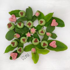 Guava Flavour Sandesh A picture of Guava Flavour Sandesh.