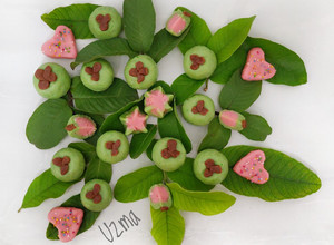 A picture of Guava Flavour Sandesh.