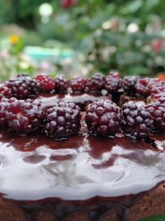 عکسی از دستور کیک شکلاتی با گاناش🎂🍫