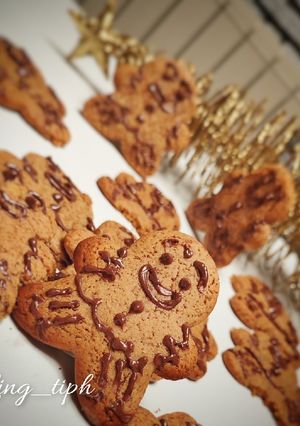 Une photo de "Tibiscuit" de Noël