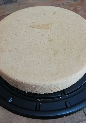 Una foto de Pan esponja