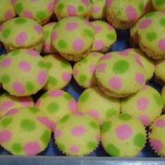 A picture of Bolu kukus polkadot.