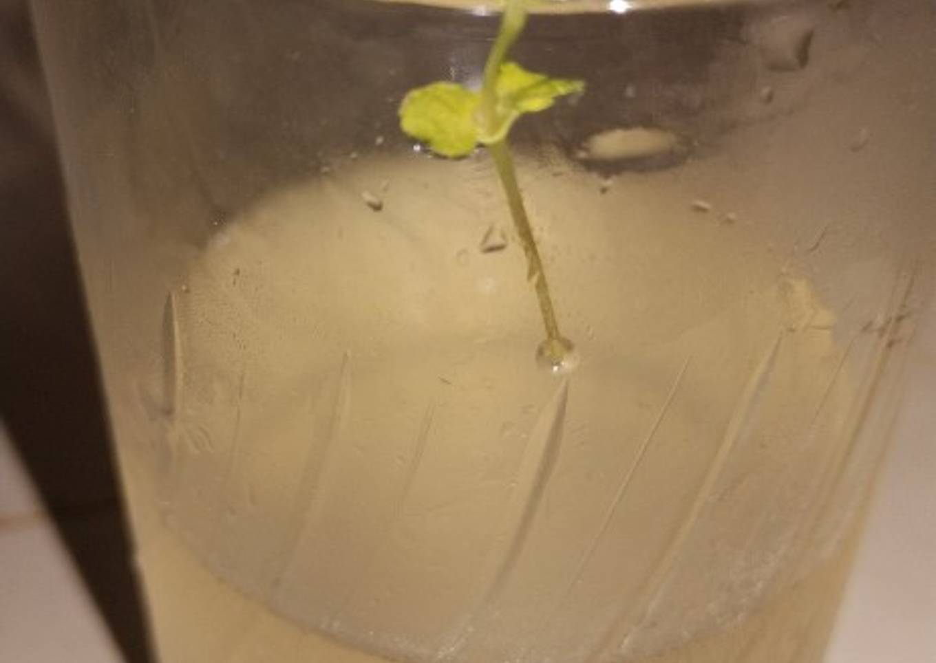Coconut water mojito