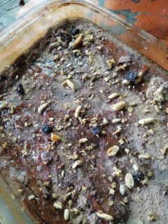 Una foto de Torta 🥧 de chocolate con avena, y granolas
