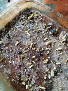 Una foto de Torta 🥧 de chocolate con avena, y granolas