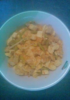 Foto resep Tahu Tempe Santan