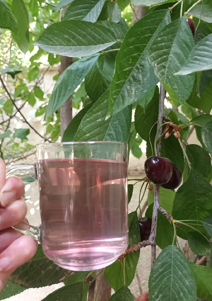 عکسی از دستور جوشانده گیلاس و دُم گیلاس
