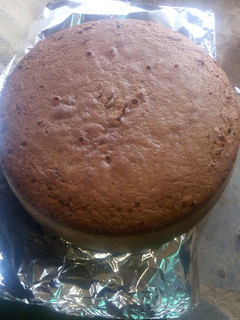 A picture of Vanilla cake.