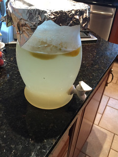 A picture of Lemonade.