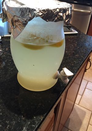 A picture of Lemonade.