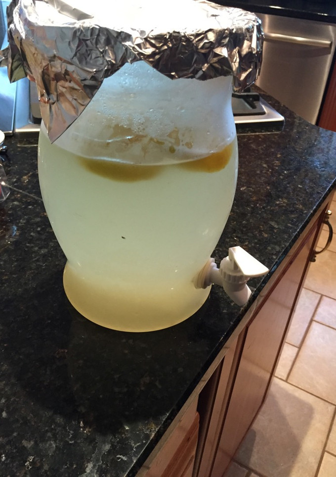 A picture of Lemonade.