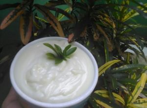 Foto resep Mayonaise KW SUPER cuma 5 menit