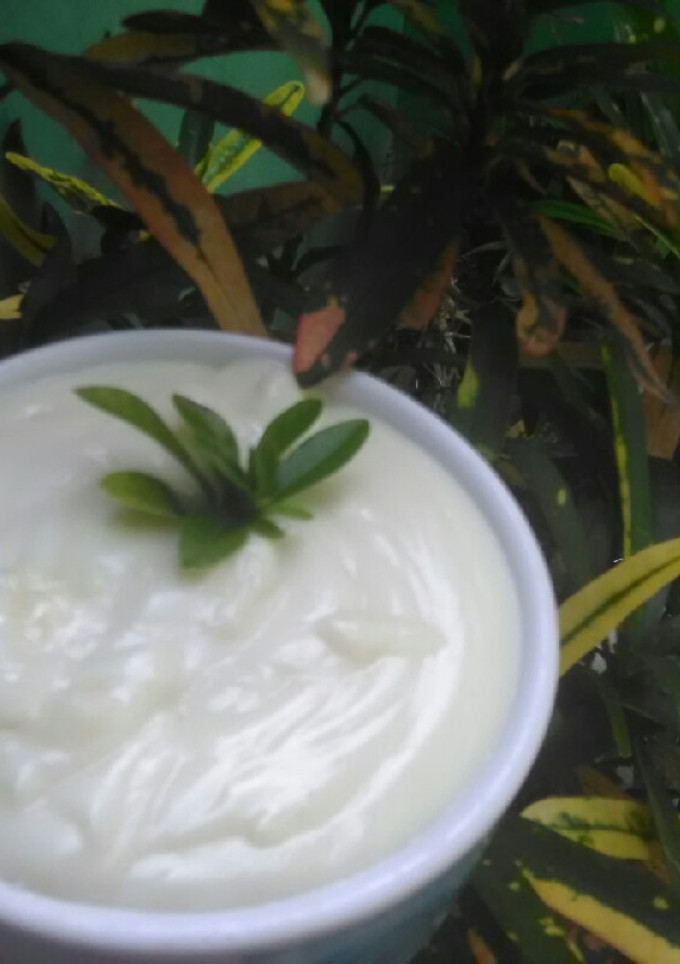 Foto resep Mayonaise KW SUPER cuma 5 menit