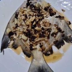 A picture of Steam Fish.