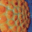 خلية النحل 🍯