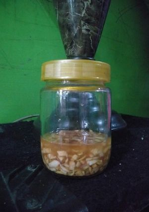 Foto resep Sirup madu bawang jahe