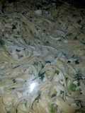 Pasta alfredo