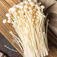 A picture of Jamur Enoki Praktis.
