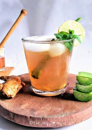 A picture of Aloe Gooseberry Ginger Elixir.