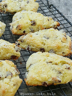 Foto resep Yogurt Chocolate Chip Scones