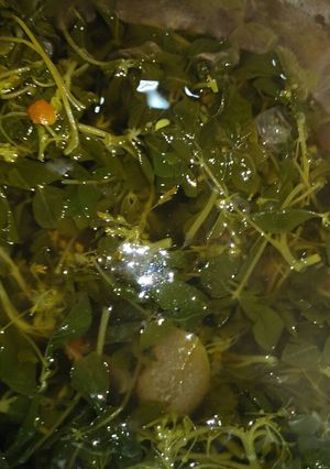 Foto resep Sayur asem boboan
