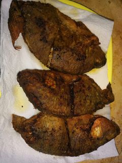 صورة لوصفة سمك بلطي مقلي