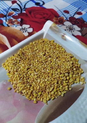 মুগ ডাল ভাজা(moog dal bhaaja recipe in Bengali) রেসিপির প্রধান ছবি