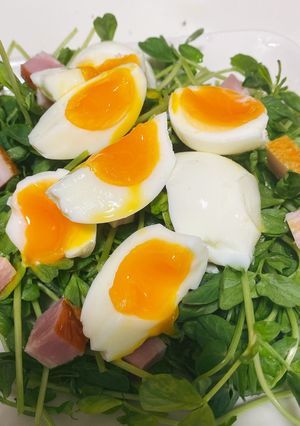 Hình của món Salad rau mầm.
