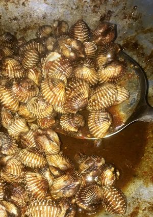 Foto resep Kerang Dara Saos Tiram Pedas