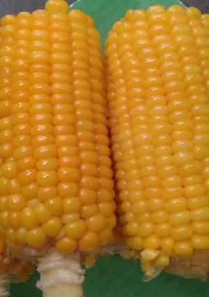 Foto resep Jagung rebus ajah