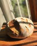Pan de campo