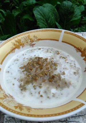 Foto resep Bubur kacang ijo sederhana