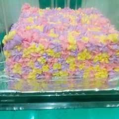 รูปของ Sponge cake vanilla