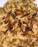 مجدرة رز