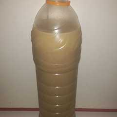 Foto di Succo di kiwi con il bimby