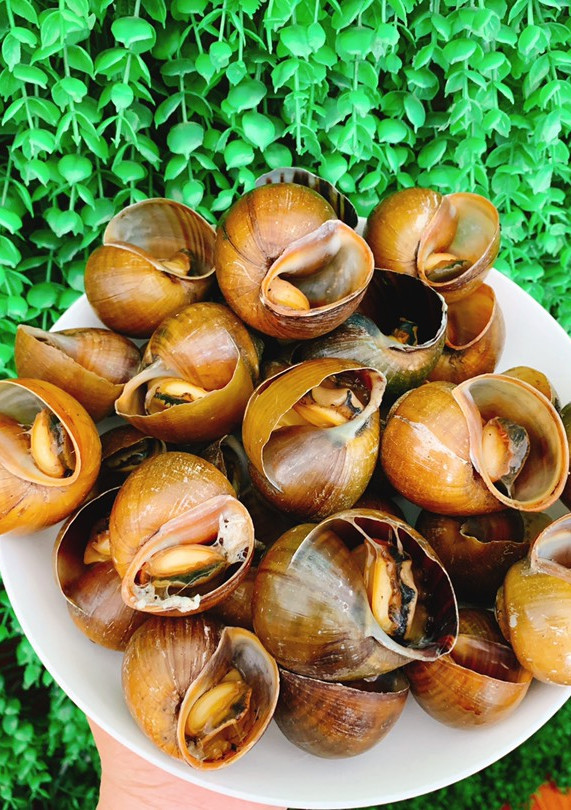 Hình của món Ốc mít luộc.