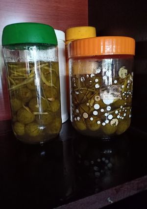 Hình của món Sấu ngâm.