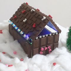 A picture of Chocolate tree.