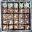 Shiny crust Brownies