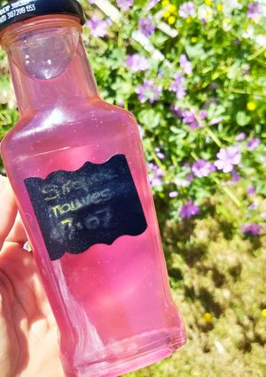 Une photo de Sirop de mauves