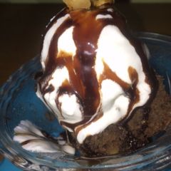 A picture of Brownie.