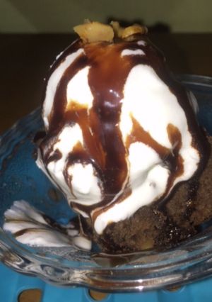 A picture of Brownie.