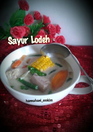 Foto resep Sayur Lodeh Putih (Terasi)