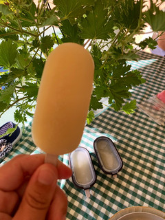 Una foto de Polos de leche preparada