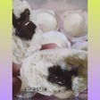 Bakpao
